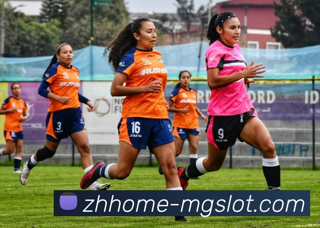 MG电子官网平台生态图