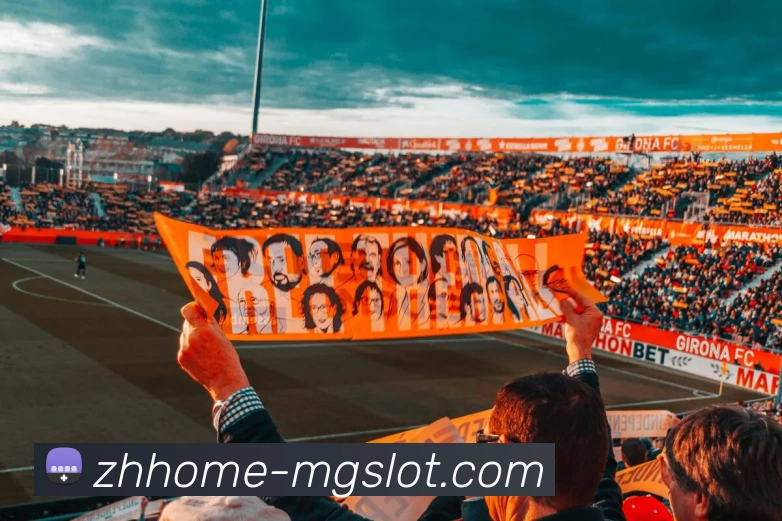 MG电子官网APP 封面图